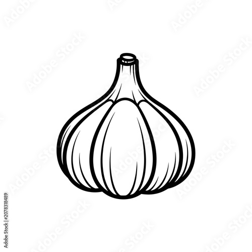 Detailed black and white illustration of a fresh garlic bulb.