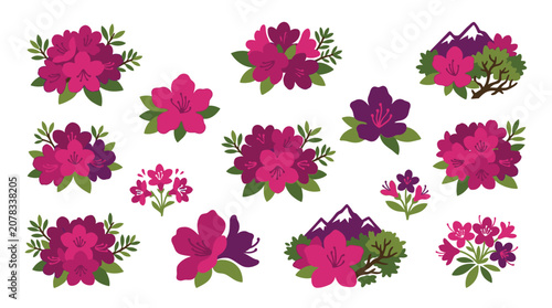 Quadro su tela Collection of beautiful rhododendron flowers and mountain landscapes in vibrant pink and purple colors