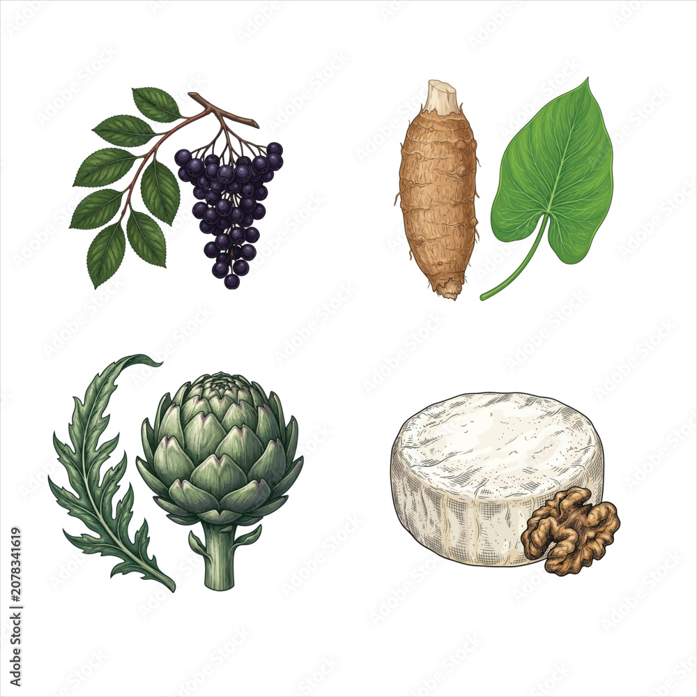 Fototapeta premium Assortment of fresh produce and cheese with nuts on white background in vector illustration style