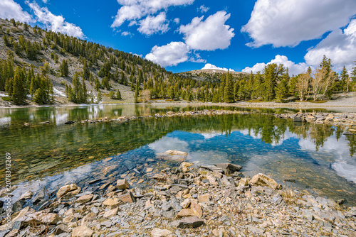 Schilderij op canvas Vibrant turquoise mountain lake with rocky shoreline and pine-covered slopes reflecting blue sky and clouds in Great Basin National Park