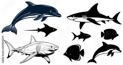 Marine life illustration collection dolphins sharks and various fish species