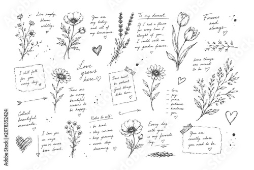 Hand drawn botanical illustrations with handwritten notes and hearts.