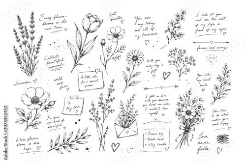 Hand drawn floral elements and handwritten notes set.