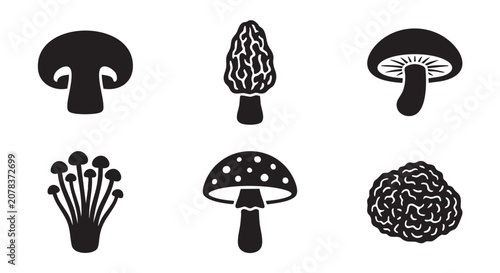 Fotografie mushrooms set, a black vector icon collection of fungi.