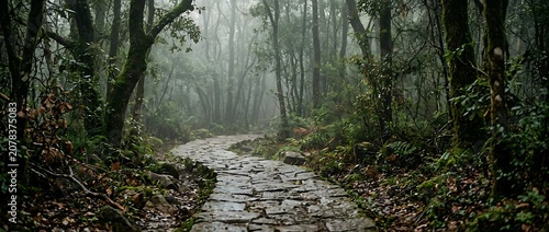 Stone path winding through a mysterious misty forest at dawn