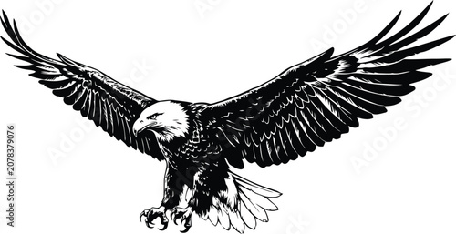 Foto Black and white of a flying crow with detailed wings bird