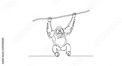 Photography Orangutan Hanging from Branch Line Drawing
