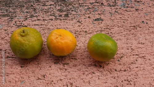 Hands organizing and aligning fresh organic tangerines on a table
