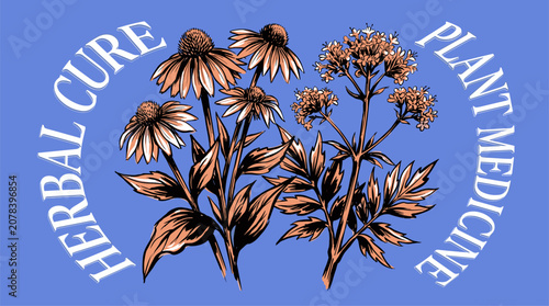 Fotografía Herbal cure vintage artwork