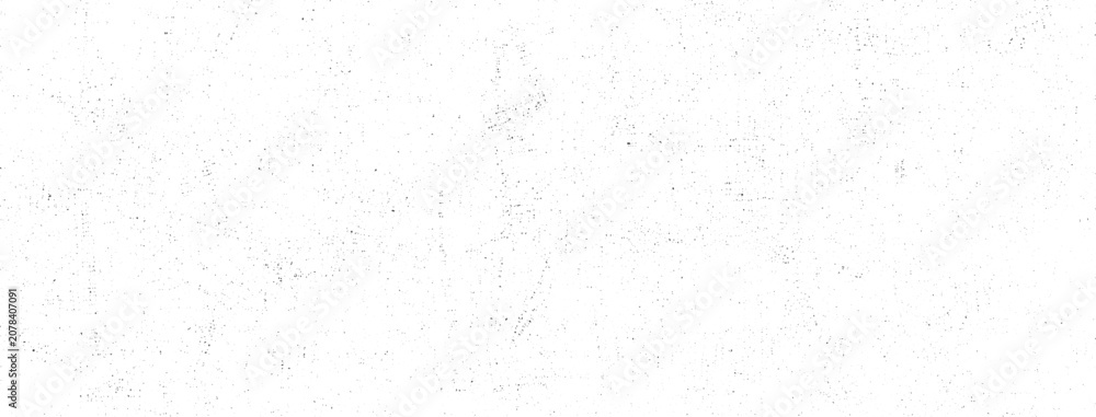 Fototapeta premium Panoramic Subtle Grunge Texture Vector Background with Fine Black Speckles and Grainy Distressed Surface