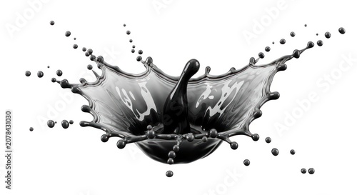 Ink splash in black and white isolated on white background vector