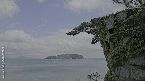 A video of the sea and the island over the trees on the cliff
