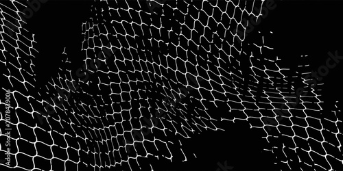 Fotografie Mesh texture for fishing nets
