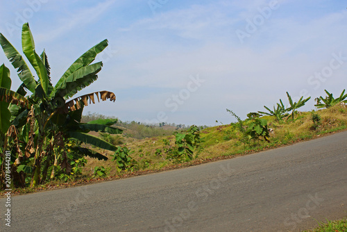 Canvas Print View of a road going uphill in the hills on a sunny day.