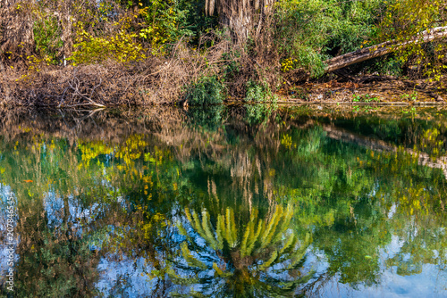 Autumn in Palermo Park, Buenos Aires, Argentina