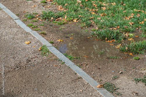 A puddle of water by the side of the walkway. In the midst of green grass.