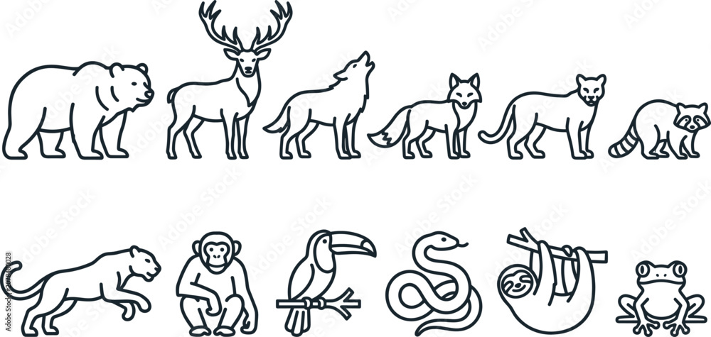 Fototapeta premium Forest Wildlife Animal Outline Illustration Set Featuring Bear Deer Wolf Fox Cougar Raccoon Monkey Toucan Snake Sloth and Frog Vector Collection