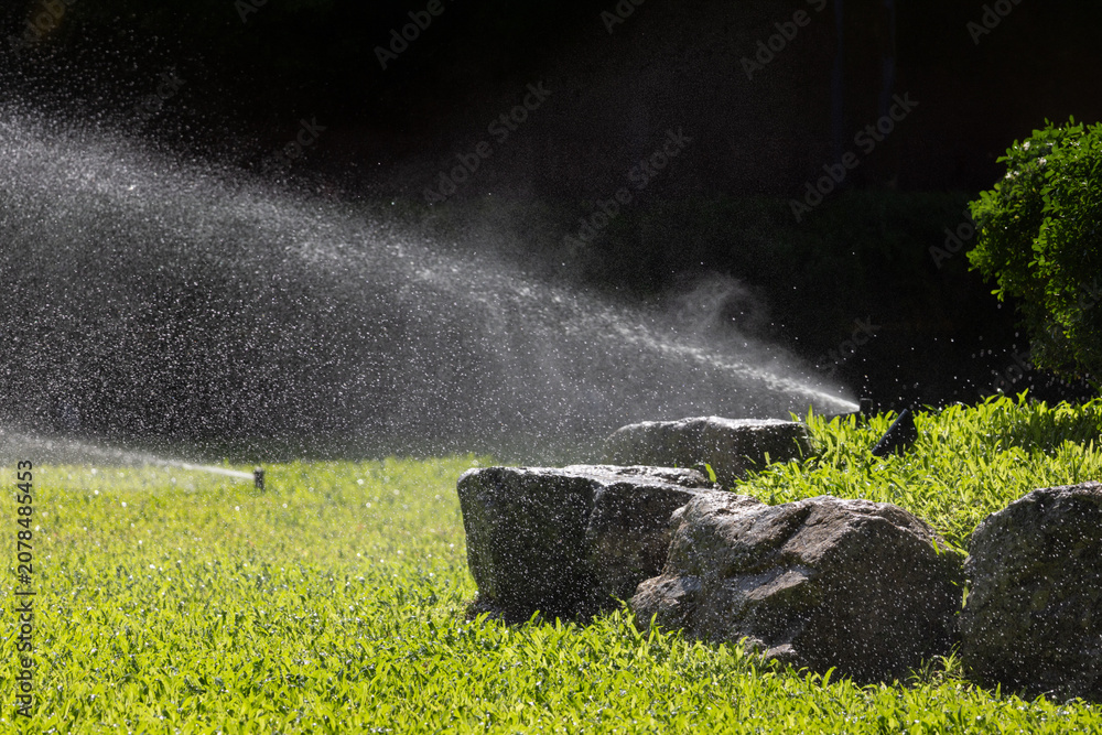 Fototapeta premium Sprinkler watering vibrant grass under sunny sky