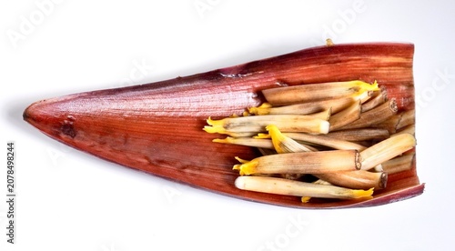 Photos Banana heart or jantung pisang bracts bowl and flowers parts isolated on horizontal white background