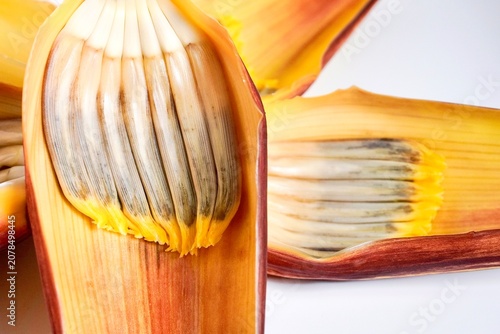 Photos Close up banana heart or jantung pisang bracts and neat flower parts isolated on white background