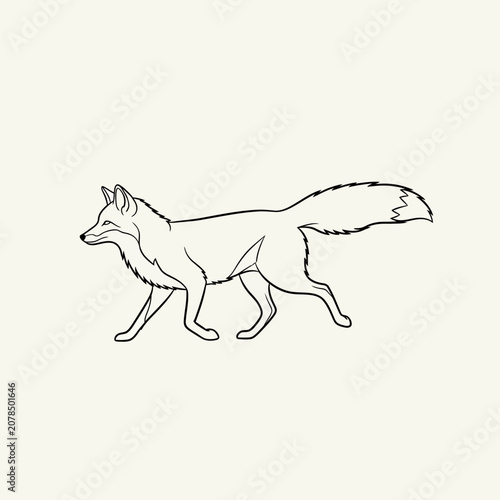 A Fox Walking Sideways Profile View.