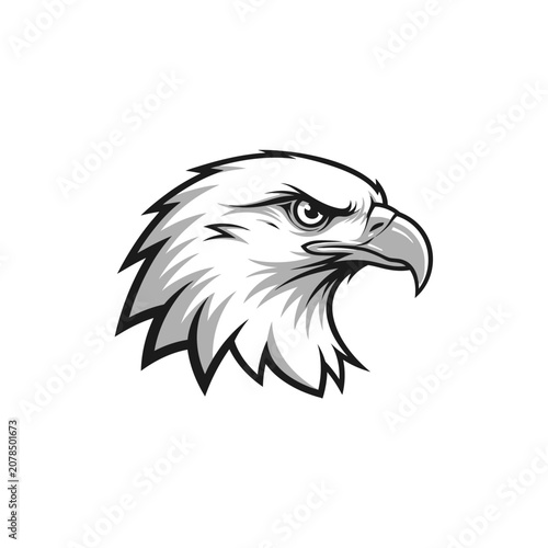 American Bald Eagle Head Illustration.