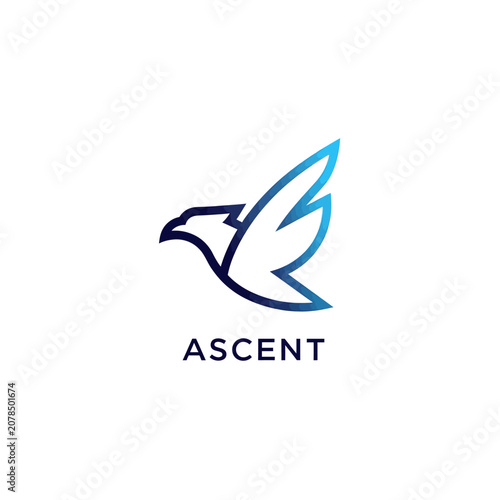 Ascent Bird Logo Design Symbol.