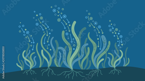 Blue Carbon Sequestration Seagrass Meadow Vector Illustration for Marine Ecosystem Concept