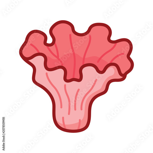 Cuadro en lienzo Cute Ramaria botrytis mushroom icon sticker