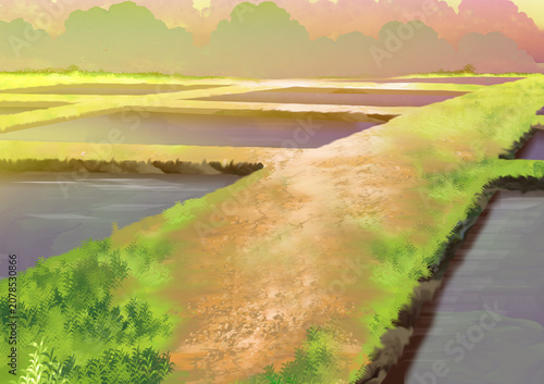 Fotografie Cartoon illustration of water-filled rice fields or fish ponds with a dirt path, green grass, and trees under a warm sunset sky