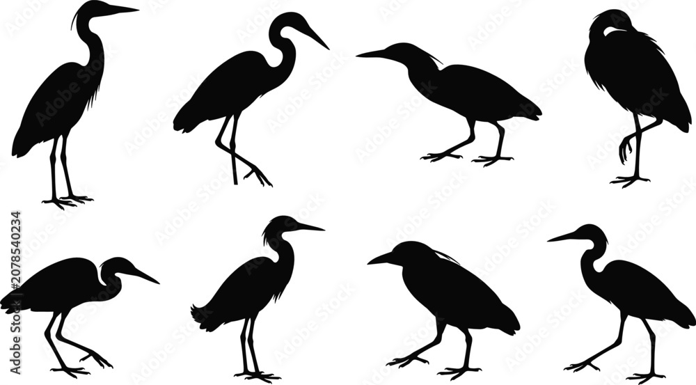 Obraz premium Wading Bird Silhouette Collection with Heron Egret and Waterbird Wildlife Vector Set