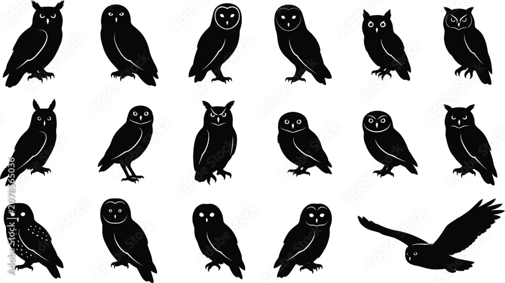 Fototapeta premium Collection of various owl silhouettes in different poses.