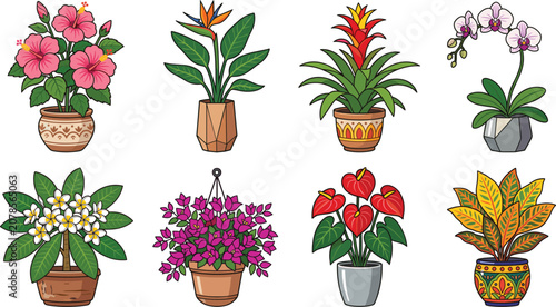 Foto Tropical potted plants collection featuring hibiscus bird of paradise bromeliad