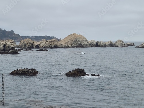 Rocky outcrops in the Pacific Ocean near Monterey, California