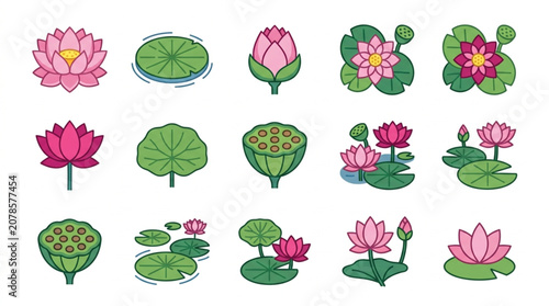 Obraz na płótnie Collection of colorful lotus flowers and leaves in various stages of bloom