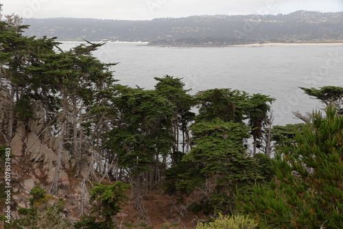 Looking across Whaler's Knoll at Point Lobos, Monterey, California
