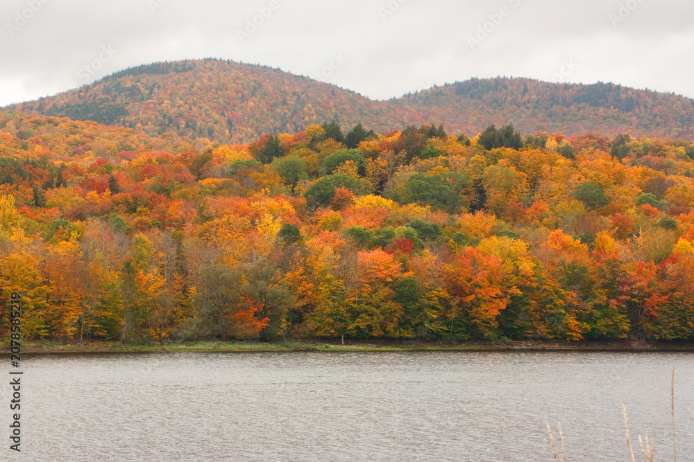 Obraz premium Fall foliage on a cloudy day in Harriman Reservoir, near Wilmington, Vermont