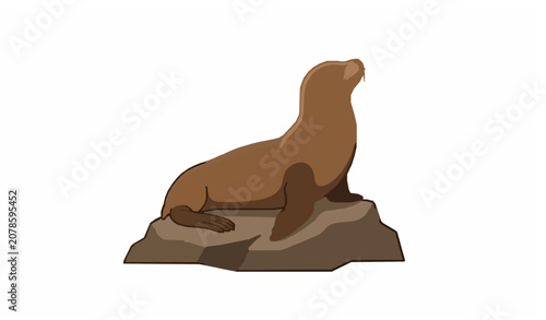 Foto Flat vector California sea lion enjoying sunlight on coastal rock isolated on wh