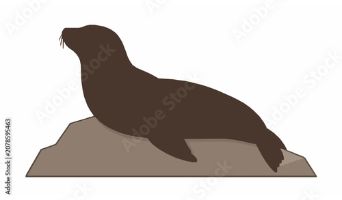 Fényképezés California sea lion basking in warm sunshine on coastal rock isolated on white b