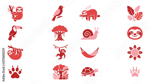 Photography Collection of cute jungle animals and plants in a flat design style, featuring sloths, toucans, monkeys, and more