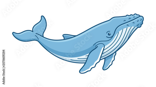 Photos Blue Whale Swimming in Ocean Water.