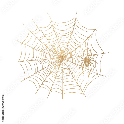 Cuadro en lienzo Golden spider web engraving illustration isolated on white background