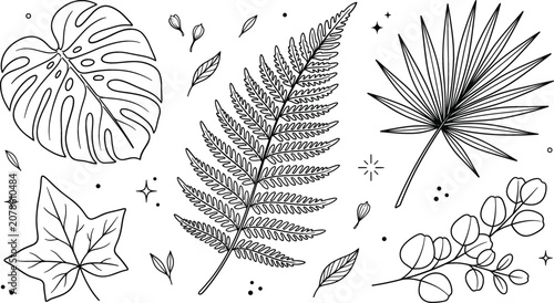 Obraz na plátně Tropical leaves icon set with monstera fern leaf palm frond ivy and eucalyptus b