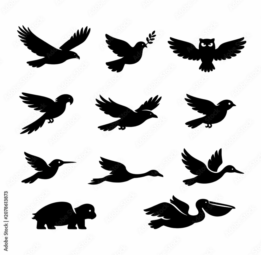 Obraz premium silhouettes of birds
