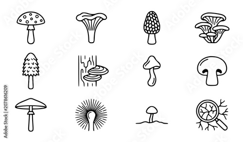 Fotografie Wild mushrooms and fungi vector icon set with simple bold line art classic amani