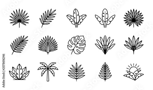 Bild auf Leinwand Tropical palm leaves vector icon set with simple bold line art classic fan palm