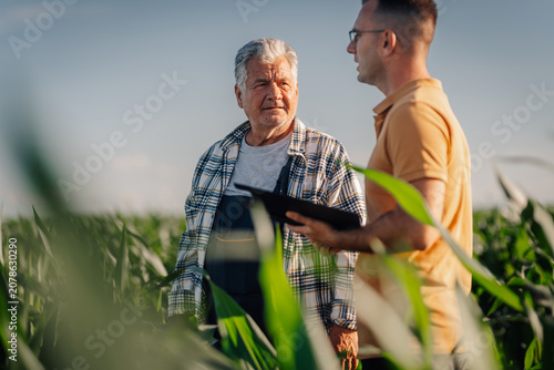 Φωτογραφία Agronomist discussing agriculture with senior farmer in cornfield