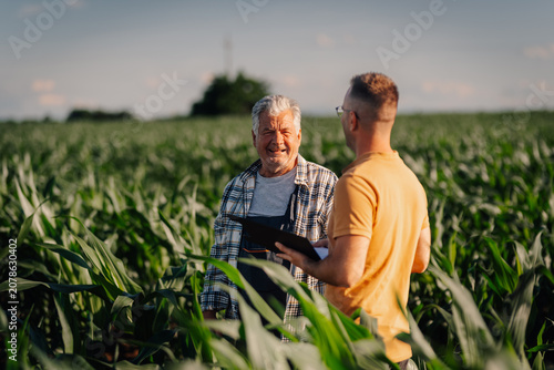 Fotografie Farmers discussing cornfield growth and agricultural strategy