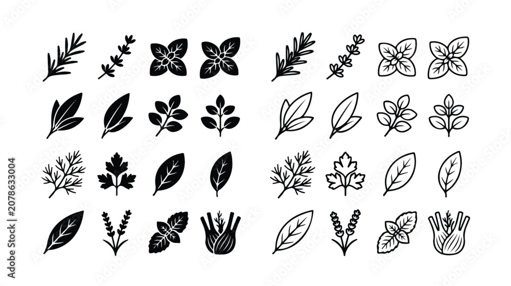 Fototapeta premium Culinary herbs and spices icon set, 32 botanical leaf vector elements, black silhouette and line art herb illustrations for kitchen and food packaging