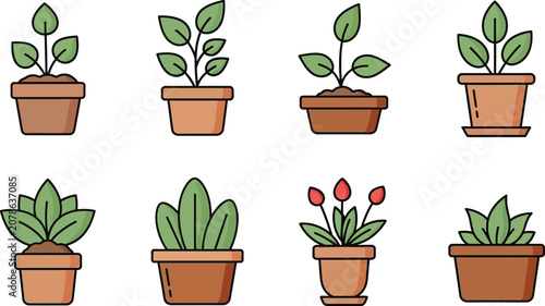 Potted Plants on White Background